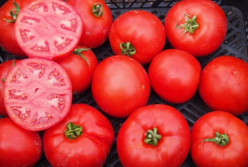 Pomidor Delfine Prime F1