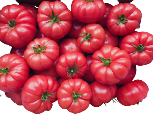 Pomidor ROSAMUNDA F1 malinowy