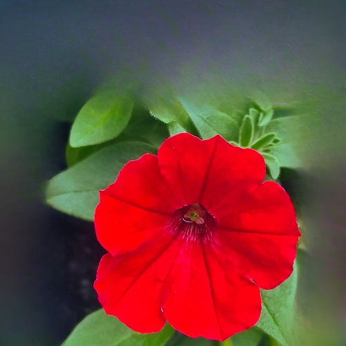 Supertunia Vista Strawberry P7 - zestaw 6 sztuk