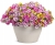 Supertunia MINI VISTA Yellow P9