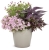 Supertunia MINI VISTA PINK STAR p9
