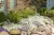 Supertunia MINI VISTA WHITE P9