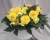 BEGONIA BULWIASTA Yellow p9
