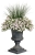 Supertunia Vista SILVERBERRY 6 sadzonek
