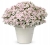 Supertunia Vista Silverberry P7
