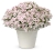 Supertunia Vista Silverberry P7