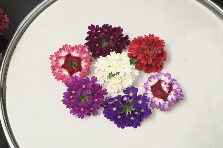 Werbena Drums Blue White p9