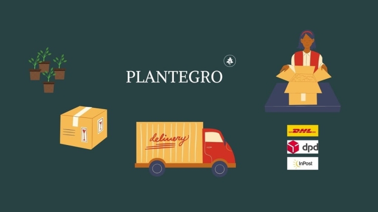 Kocimiętka Nepeta p9