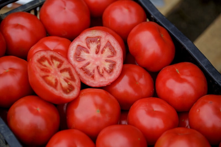 Pomidor Delfine Prime F1