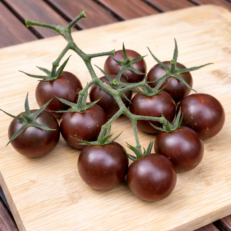 Pomidor Black Cherry