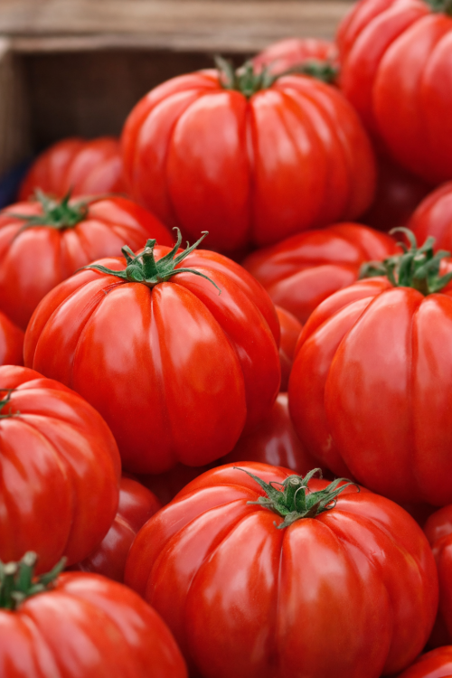 Pomidor Oxheart Bawole Serce