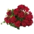 Pelargonia temprano BRIGHT RED p9