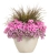 Supertunia Vista Bubblegum P7