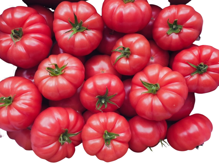 Pomidor ROSAMUNDA F1 malinowy