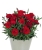 Goździk wieloletni Dianthus Carmen red