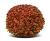 Chryzantema Jasoda Orange
