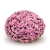 chryzantema Jasoda PINK DARK