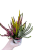 Wrzos TRIO Garden Girls® –  P9