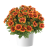 Gaillardia Gusto Sweet Chili