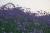 2a680731-3230-47cb-b347-226e255013fc.jpeg