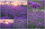 9b778b7a-e060-43e1-b0a1-3378a29a19b6.png