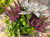 jESIENNE QUATTRO – 2x wrzos fioletowy Garden Girls®, Starzeci bluszcz