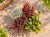 JESIENNE QUATTRO – 2x wrzos fioletowy, czerwony Garden Girls®, Calocephalus i bluszcz